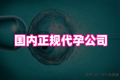 江苏助孕网 4